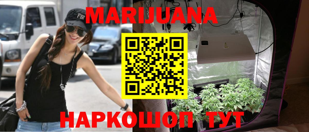 Бошки Шишки семена Касимов